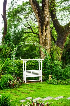 white chair in tropical garden,Chiangrai,Thailand