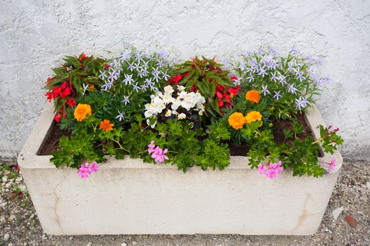 Colorful window box in Charente Maritime France
