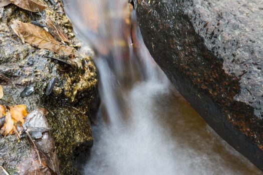 Stream running between stones with leaves on