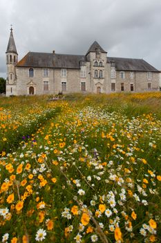 Antique hospital of Saintes , France ,with Flowered meadow in the forefront