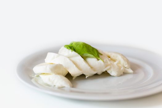 Slices of italian mozzarella with leaves of basil