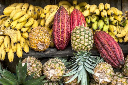 Cocoa fruit surrounded by other tropical fruits on the counter of the Latin America street market, Ecuador