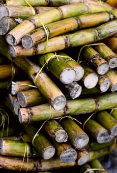 close up photo of a stack of sugar cane sticks 