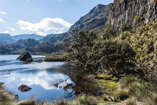 It's located to the west of Cuenca. The eastern boundary is 20 kilometers from the city. The Park`s name comes from the quechua word, "caxas," which means "cold." 