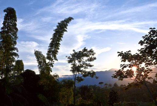 From Andes to Amazon, View of the tropical rainforest, Ecuador