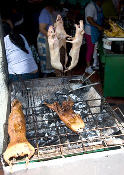 Marinated, roasted Cuy (Guinea Pig), a local delicacy, on a barbecue at the outdoor food market in Banios, Ecuador