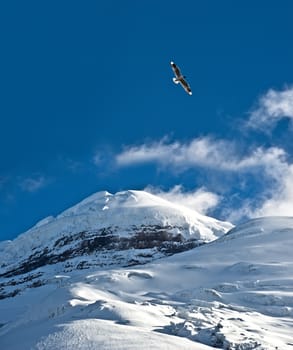 Cotopaxi - The highest active volcano at 5.897 m. Cotopaxi is the volcanic centrepiece of the National Park with the same name, situated in the Andean Highlands of Ecuador. 