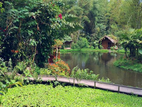 Little houses for holiday in front of a lake in Mindo, Ecuador Rainforest