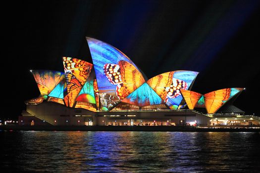SYDNEY, AUSTRALIA - JUNE 2, 2014;  Vivid Sydney Festival, beautiful butterfly imagery projected onto the  Sydney Opera House  during Vivid  annual festival of light, music and ideas