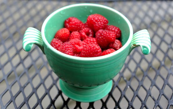 Just picked berries of raspberry in ancient cup lost in garden in the rain