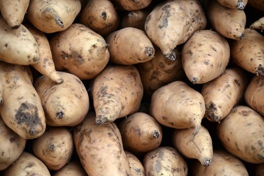 sweet potatoes that ready to cook or grilled