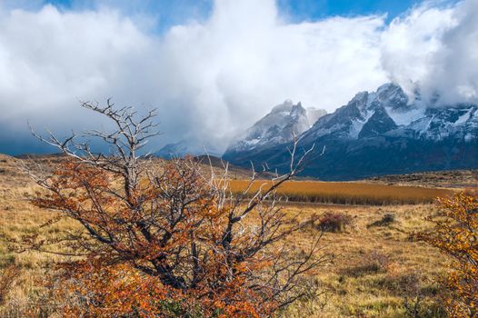 Autumn in Patagonia. The Torres del Paine National Park in the south of Chile is one of the most beautiful mountain ranges in the world