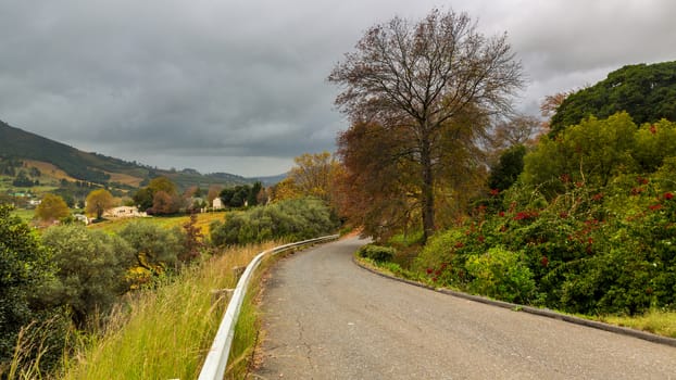 A small asphalt road cutting through the picturesque landscapes of the Western Cape regions of South Africa