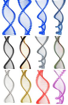 Set of DNA structure model on a white background