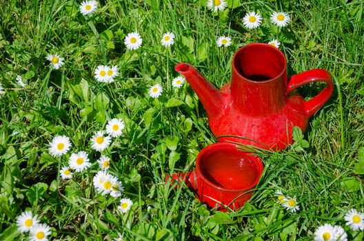 red clay vintage cup and jug in daisy meadow