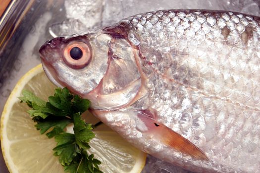 Fish on a platter with lemon and parsley.