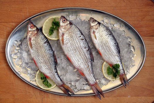 Fish on a platter with lemon and parsley. 







Fish roach lies entirely on a platter.