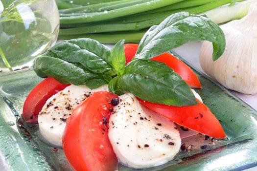 Salad with lettuce, tomato, cucumber, onion, olives clearing sauce.