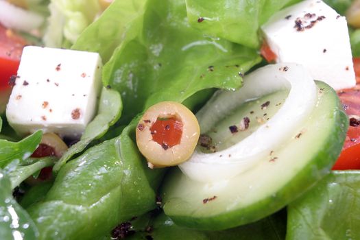 Salad with lettuce, tomato, cucumber, onion, olives clearing sauce.