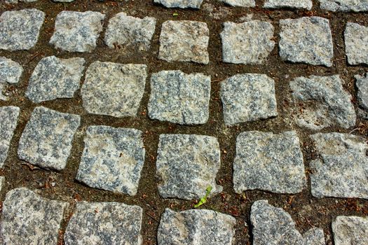 path of square stones between which the earth and moss