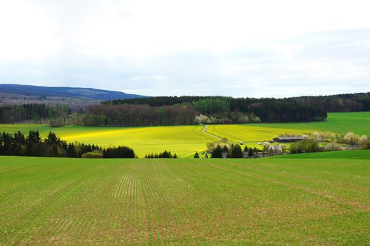 Wald und Felder am nördlichen Idarwald