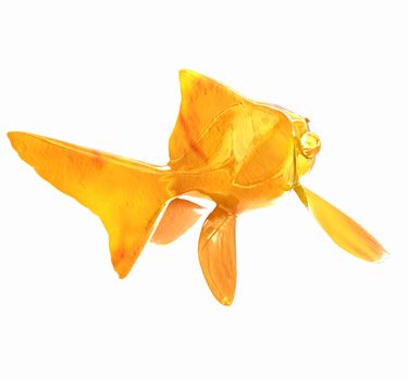 Gold fish. Isolation on a white background