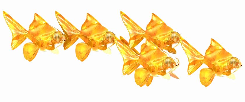 Gold fishes. Isolation on a white background 