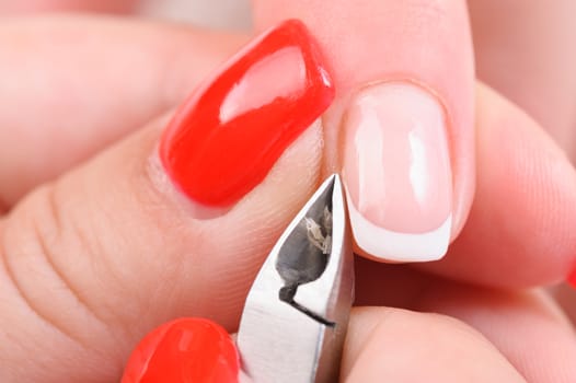 beauty salon, manicure applying, cutting the cuticle with scissors