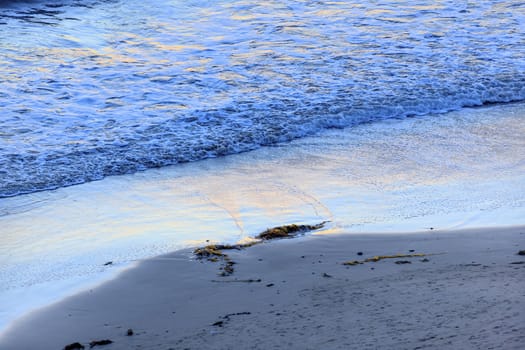 Ellwood Mesa Coastline Beach Seaweed Pacific Oecan Goleta California 