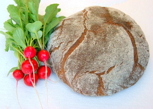 Bread and vegetables radish on white background is insulated