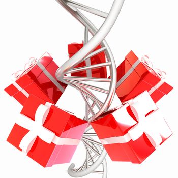 DNA structure model and gifts on white background