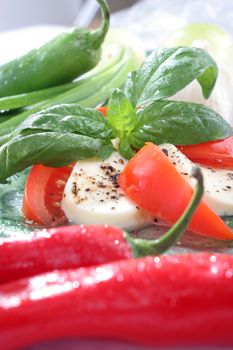 Salad with lettuce, tomato, cucumber, onion, olives clearing sauce.