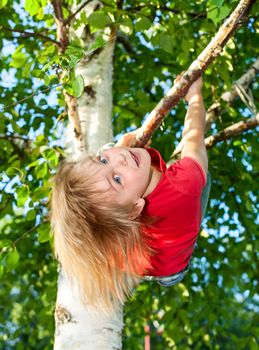 Little girl having fun playing on birch tree