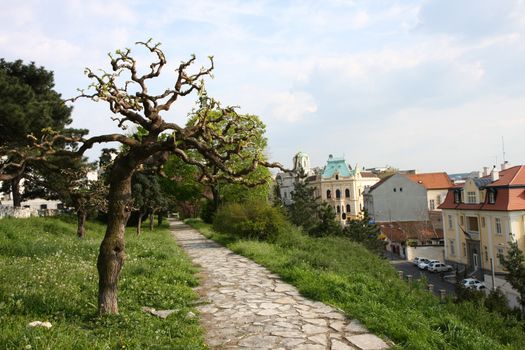 Landscape on Belgrade fortress Kalemegdan,Serbia