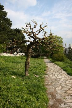 Landscape on Belgrade fortress Kalemegdan,Serbia