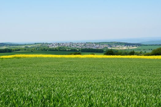 Monzelfeld im Hunsrück im Frühling