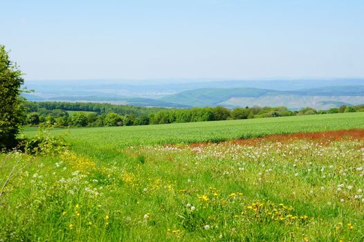 Felder bei Monzelfeld im Hunsrück mit Blick ins Moseltal