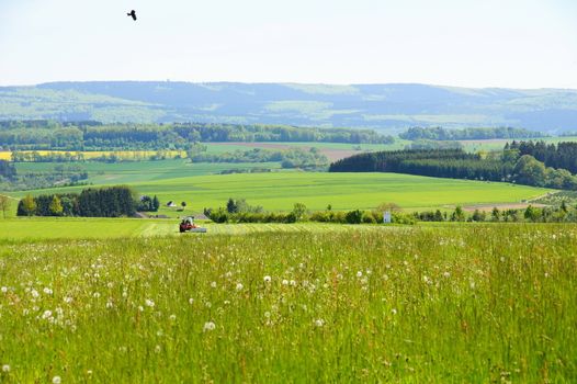 Hunsrück bei Morbach-Heinzerath mit Blick zum Erbeskopf