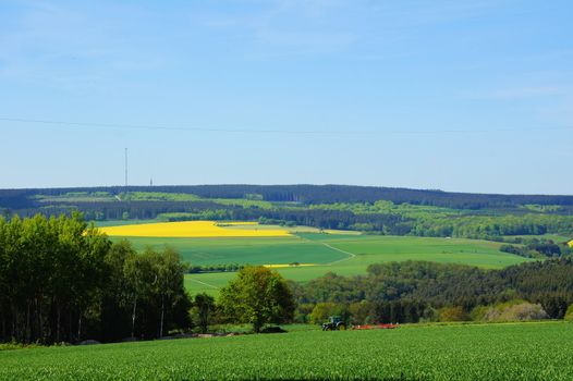 Haardtkopf im Hunsrück bei Morbach