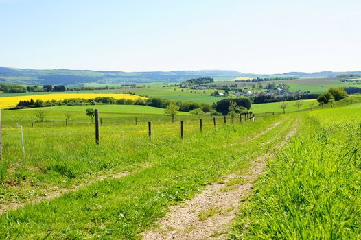 Landschaft im Hunsrück mit Weg, in der Ferne Odert