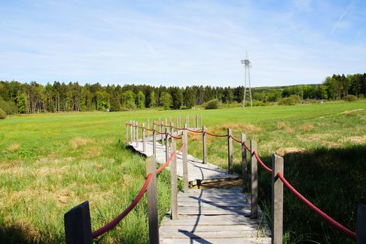 Holzsteg zur Arnikaschleife durch eine Moorlandschaft bei Morbach im Hunsrück