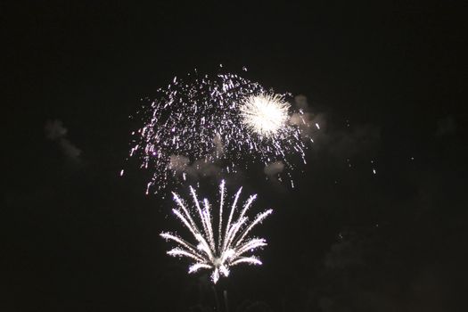 Colorful firework in the black night sky