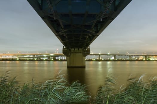 railway bridge structure over river waters with focus on foreground reeds  by night 