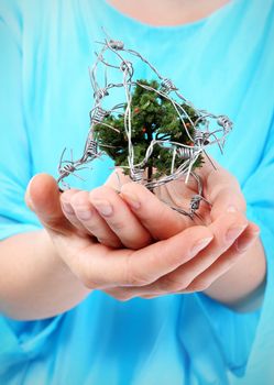 A woman holds on hands small tree wrapped in barbed wire