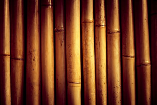 Bamboo close up, nice grunge texture for your projects