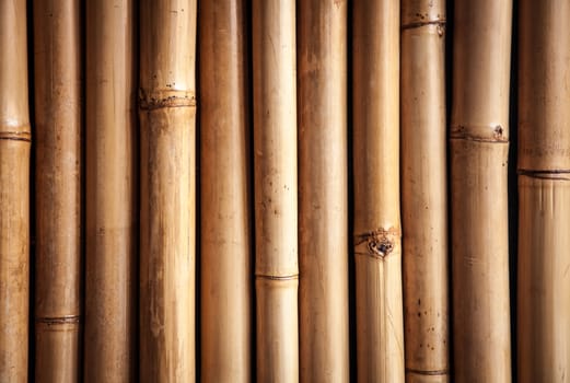Bamboo close up, nice grunge texture for your projects