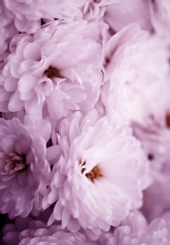 Fine art of close-up, beautiful abstract flowers background