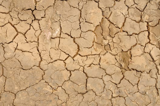 Cracked Soil Background for any purpose use