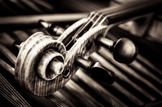 Close-up detail of violin head with string background