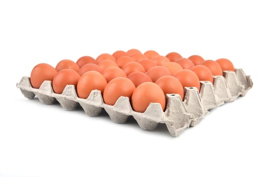 eggs in paper tray on white background